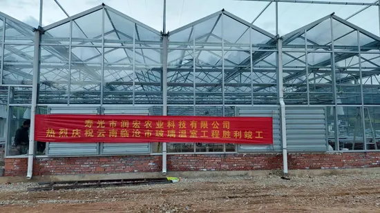 Green Houses Manufactures Multi Span Tomato Strawberry Flower House Cooling Irrigation Grow Tent Glass Greenhouse
