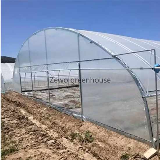 Low Cost Agricultural Home Mini Garden Tunnel Greenhouse Covered with PVC for Warehouse/Flower/Prefabricated House