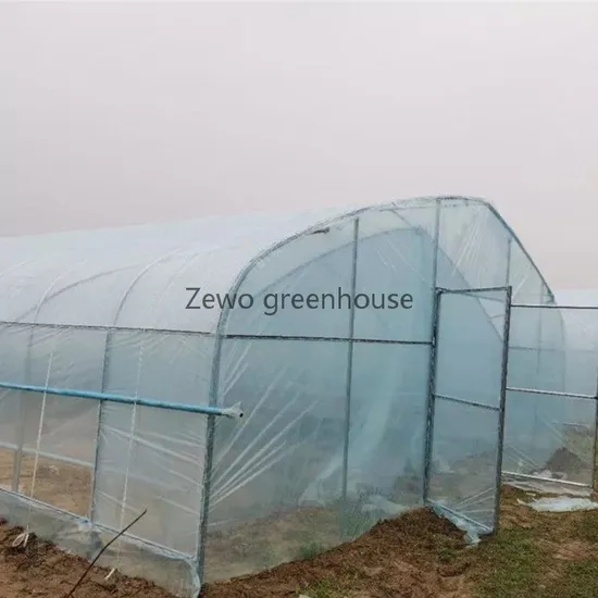 Low Cost Agricultural Home Mini Garden Tunnel Greenhouse Covered with PVC for Warehouse/Flower/Prefabricated House