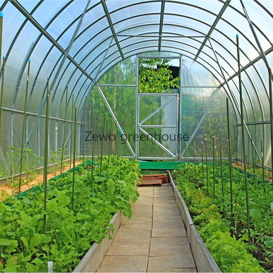 Low Cost Agricultural Home Mini Garden Tunnel Greenhouse Covered with PVC for Warehouse/Flower/Prefabricated House
