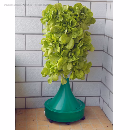 DIY Indoor Small Hydroponic Vertical Growing System Mini Plant Hydroponics Kit