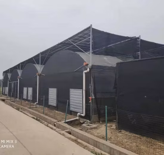 의료 식물/버섯을 위한 플라스틱 검정 흰색 필름 정전 온실