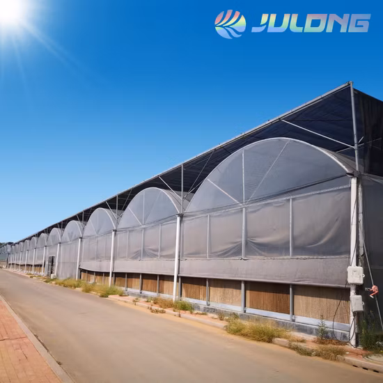 EU 유형 온실을 위한 우수한 G90/Az150/Azm275 빗물받이/온실 해골/프레임워크