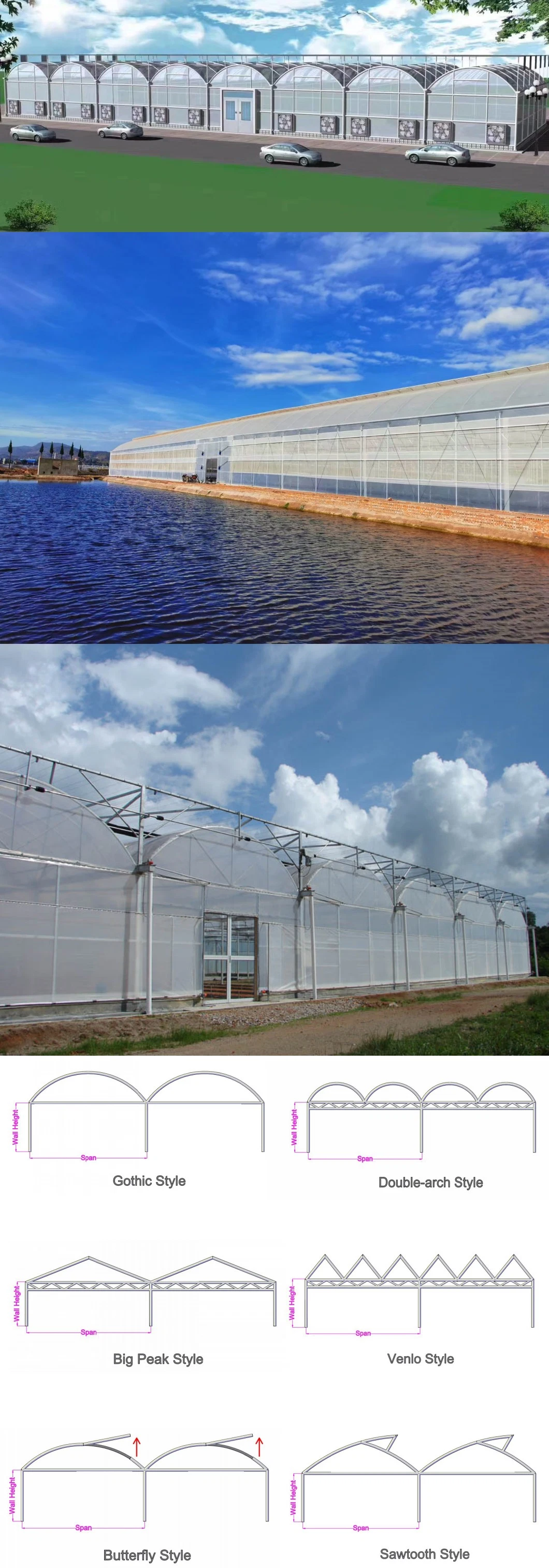 Cheap Roof Ventilation Dome Greenhouse Covered by Plastic Film with Auto Control System