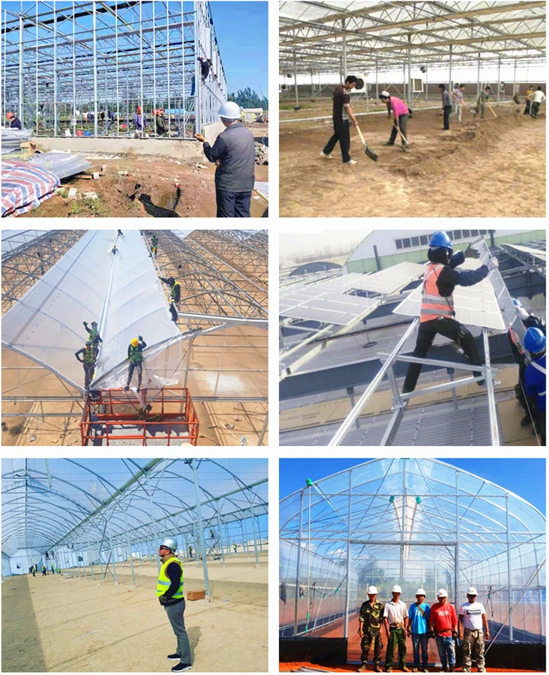 Raw Tooth Type Tropical Greenhouse Film Greenhouse with Automatic Temperature Control for Vegetable Planting Tomato/Cucumber/Seedling/Nursery