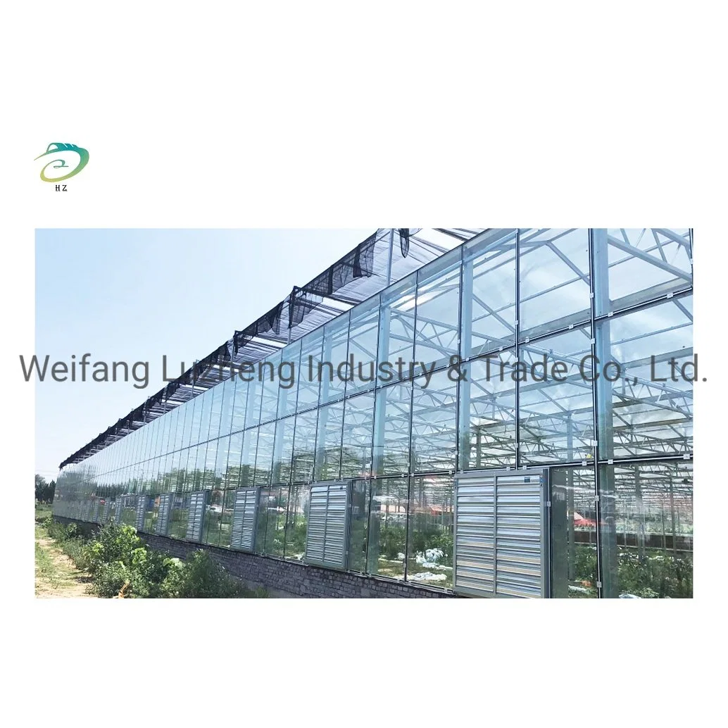 China Easy Assemble Polycarbonate PC Sheet Commercial Garden Greenhouse with Hydroponics/ Planting System/ Light System/ Agriculture/ Livestock Breeding