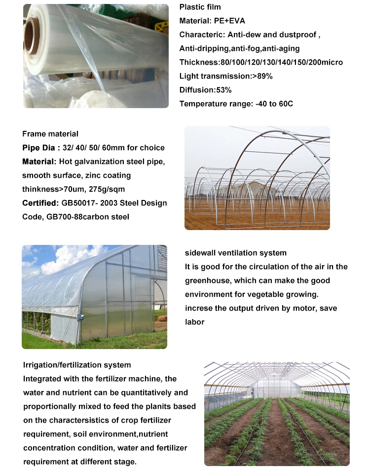 Cheap Price Green House Frame Structure Dome Polytunnel Greenhouse