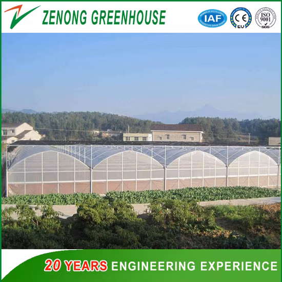 Dome Roof Agriculture Plastic Film Multi-Span Greenhouse for Vegetable/Flower/Fruit