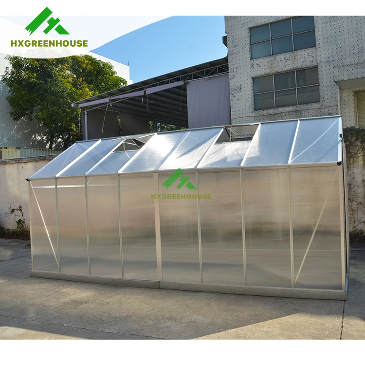 China Cheap Prefab Winter PC Sheet Green House Hobby Luxury Small Polycarbonate Plastic Greenhouse Garden for Sale