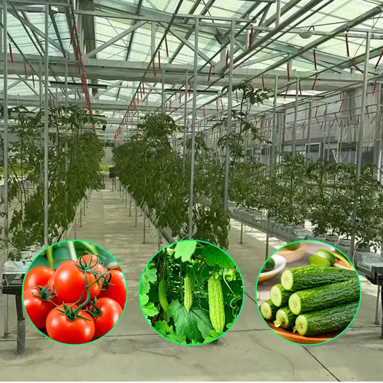 Large Ridge Greenhouse//PC Sheets/Tempered Glass/Diffusing