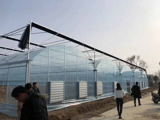 Dome Roof Agriculture Plastic Film Multi-Span Greenhouse for Vegetable/Flower/Fruit