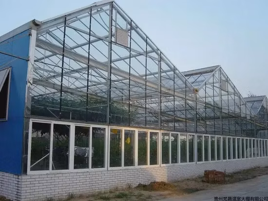 연무 시스템을 갖춘 PC 시트 농업 온실