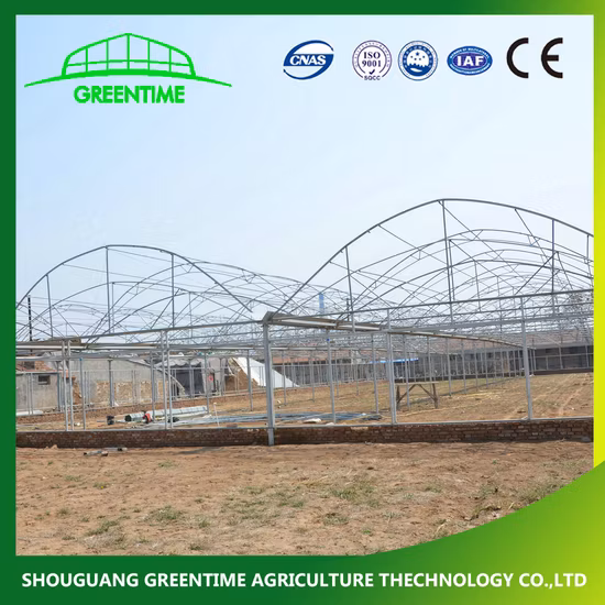 냉각 / 음영 / 관개 기능을 갖춘 중국 공급 업체 다중 스팬 필름 온실