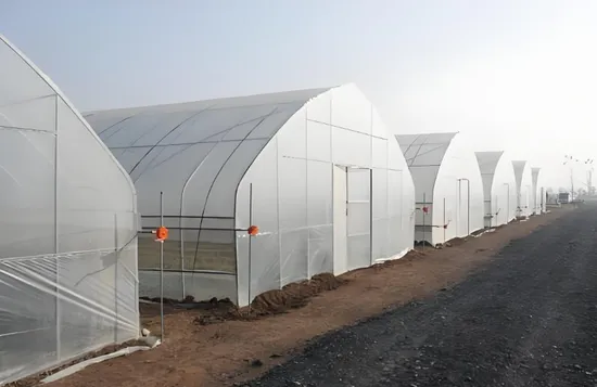 난방시스템을 갖춘 수경재배 꽃유리온실 완성
