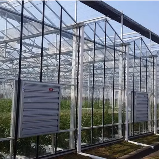 원예용 수경재배/냉각/환기 시스템을 갖춘 유리 온실